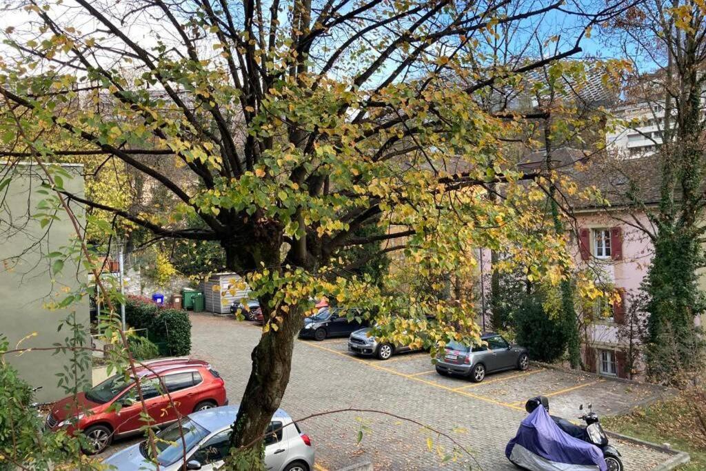 لوزان Parking & Appartement 2 Pieces Sans Traffic المظهر الخارجي الصورة